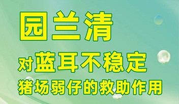 園蘭清對(duì)藍(lán)耳不穩(wěn)定豬場(chǎng)弱仔的救助作用！