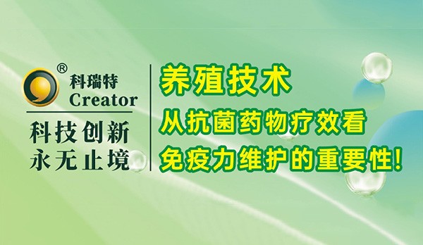 養(yǎng)殖技術｜從抗菌藥物療效看免疫力維護的重要性！